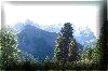 foto (3)